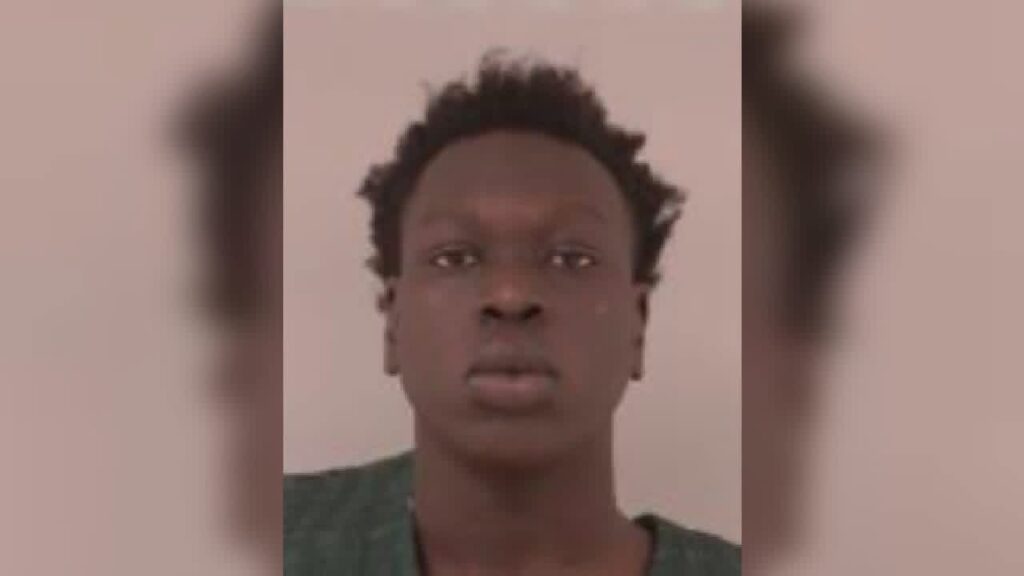 Shakopee Man Charged in Fatal Highway 169 Crash That Killed Chaska Woman